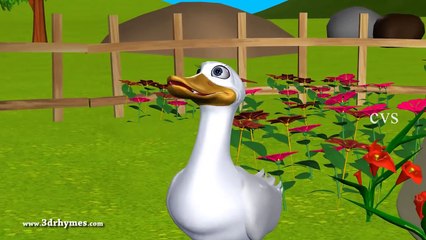 Five Little Ducks went out one day - 3D Animation English Nursery Rhymes for Children