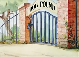 Tom and Jerry - puttin' on the dog