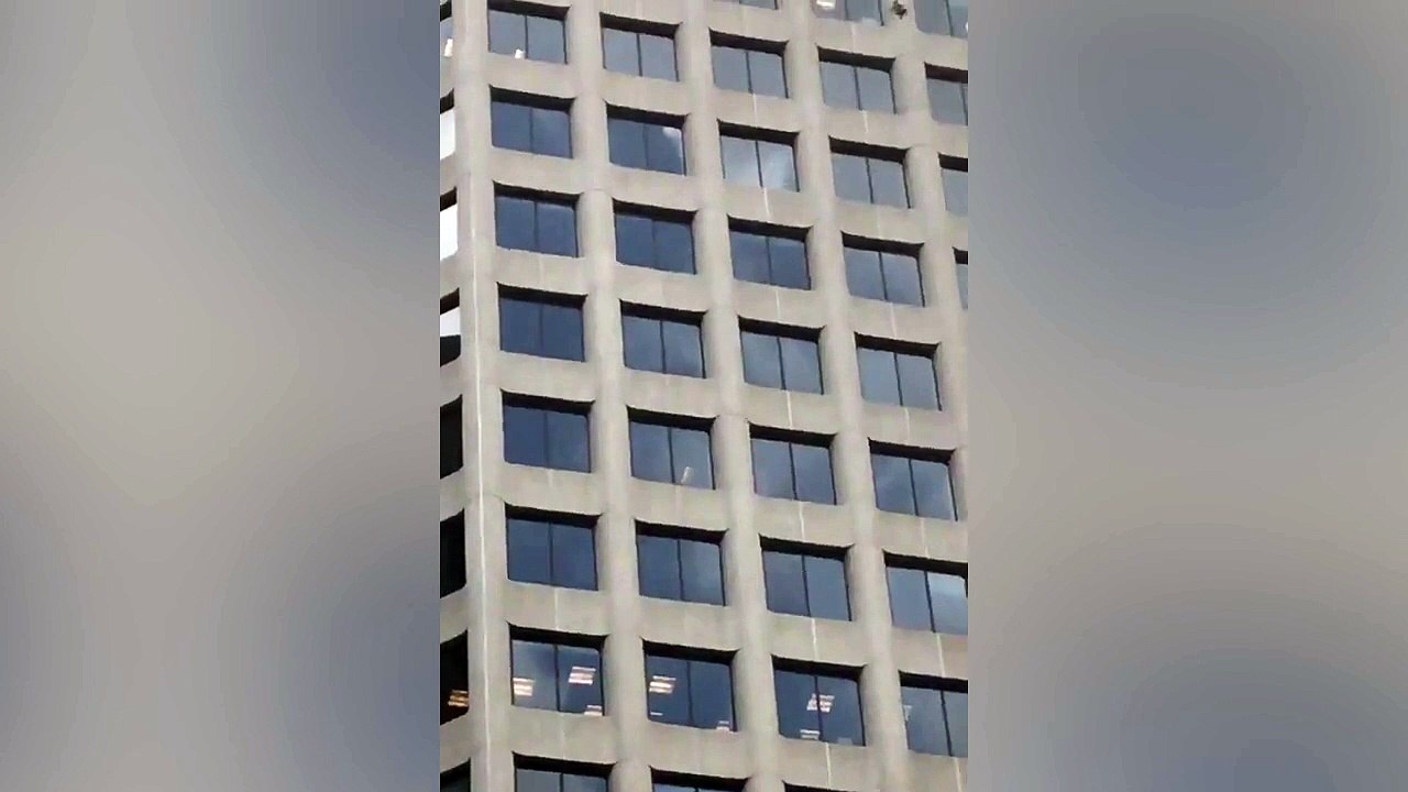 Un raton-laveur escalade un gratte-ciel et se retrouve coincé