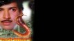 ಮತ್ತೆ ಸಿಲ್ವರ್ ಸ್ಕ್ರೀನ್ ಮೇಲೆ ವಿಷ್ಣು ದಾದಾರನ್ನು ಕಣ್ತುಂಬಿಕೊಳ್ಳಬಹುದು..!! | Filmibeat Kannada
