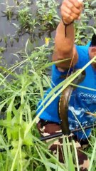 new method of fishing | indian traditional fishing