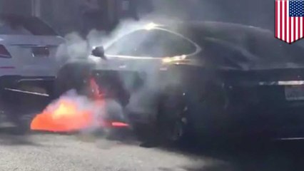 Tesla Model S bursts into flames on Los Angeles street