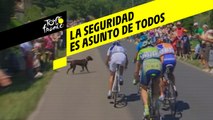 Tour de France 2018 - Seguridad de los ciclistas