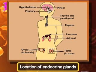 Chemical coordination and integration