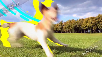 Bigade Upcoming Project in Whitefield