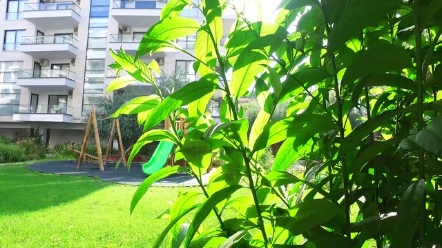 вторичная недвижимость в махмутларе,вторичная недвижимость в махмутларе,вторичная недвижимость в махмутларе,вторичная недвижимость в махмутларе,вторичная недвижимость в махмутларе,вторичная недвижимость в махмутларе,вторичная недвижимость в махмутларе