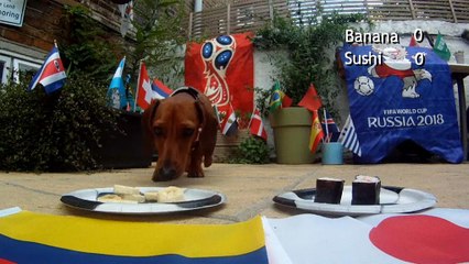 Такса ставит на ничью