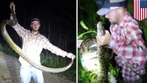 Florida trapper saves gator from 10-foot-long python