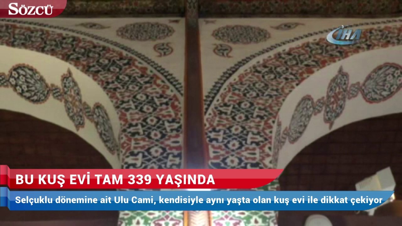 Bu kuş evi tam 339 yaşında