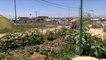 هذا الصباح- حدائق صغيرة تزين منازل لاجئي مخيم دوميز