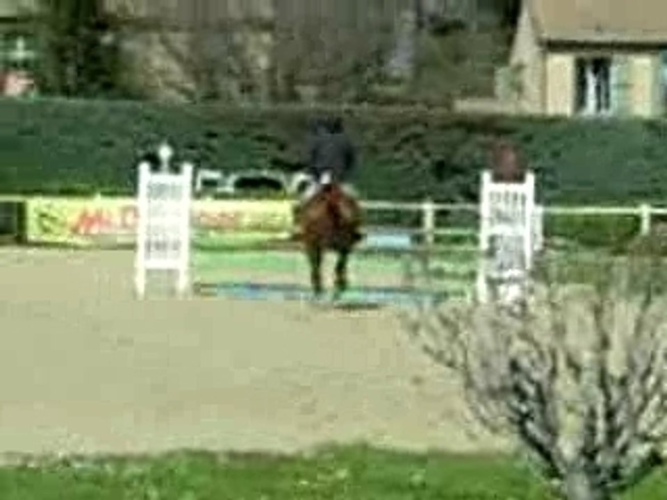 Concours de Saut d'Obstacles au Haras National d'Uzès