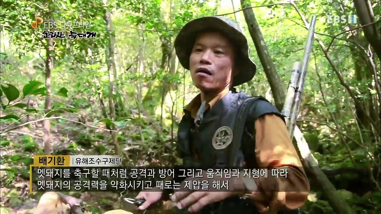 EBS 다큐프라임 - Docuprime_(한라산 늑대개)_#001