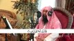 Quran Recitation by Mr. Mohammad Abdul Hadi | محمد عبد الهادي | Tilawat Quran Pak |  Islamic Media