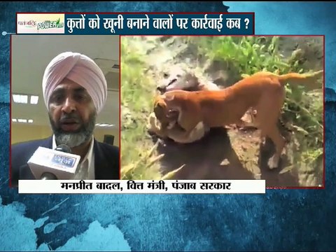 देखिये क्यों तेज़ी से बढ़ रहा है 'डॉग-फाइट' का चलन