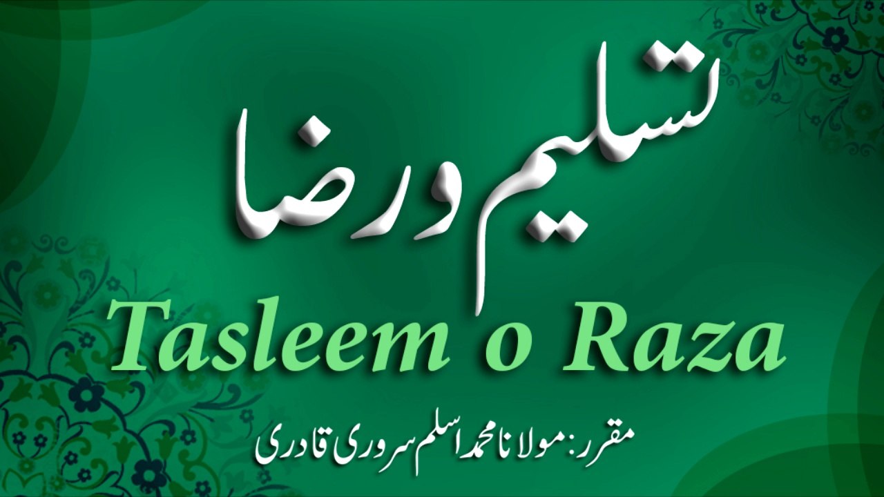 Speech: Tasleem o Raza