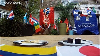 Такса ставит на ничью