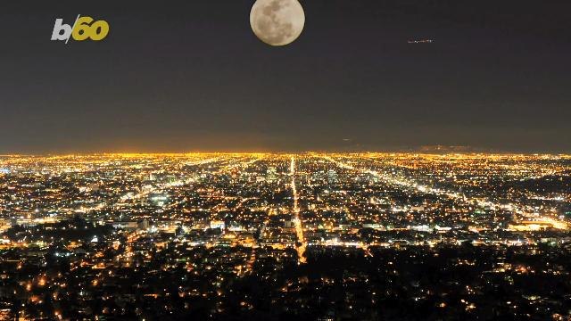 Are Humans the New Dinos? Apparently, We're Driving Mammals to Go Nocturnal