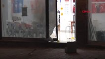 İstanbul Arnavutköy'de Seçim İrtibat Bürosuna Saldırı: 2 Gözaltı