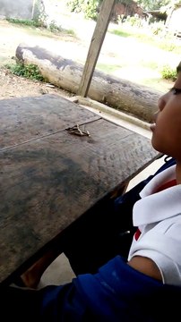 Mortal Kombat en bois (Thaïlande)