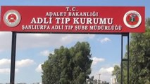 Şanlıurfa'da Yılanın Isırdığı Kadın Öldü