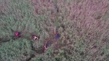 Un drone filme le sauvetage d’un homme de 75 ans coincé dans un marécage