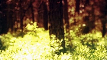 Ghost Stories S02E11 - Joel Clough