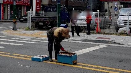 세종시 도로에 수천 마리 벌떼...양봉업자가 수거 / YTN