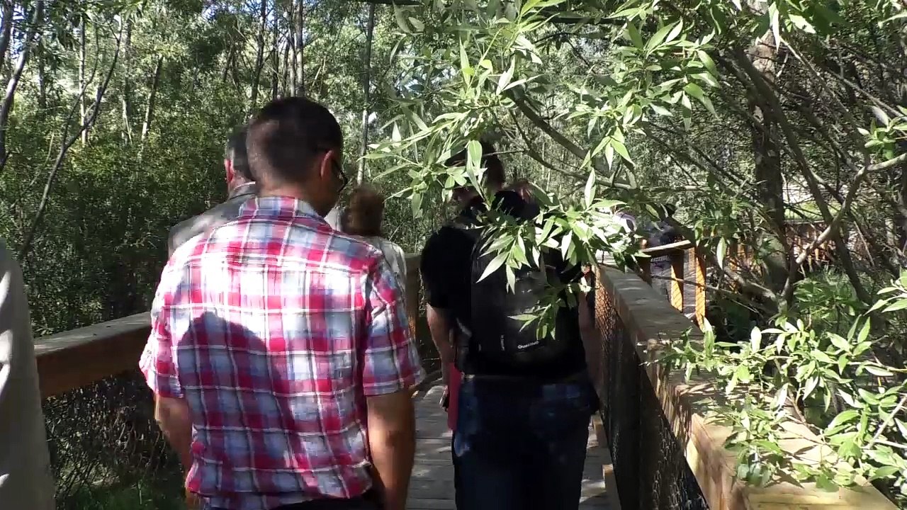 Marcher en forêt sur le lac de Serre-Ponçon ! La passerelle du Liou inauguration