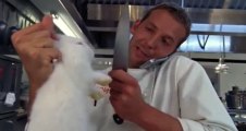 Kitchen Confidential S01 - Ep06 Teddy Takes Off HD Watch
