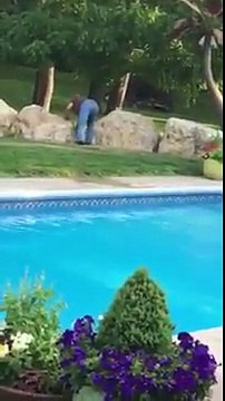 Sauvetage d'un bébé faon de la piscine en train de se noyer !