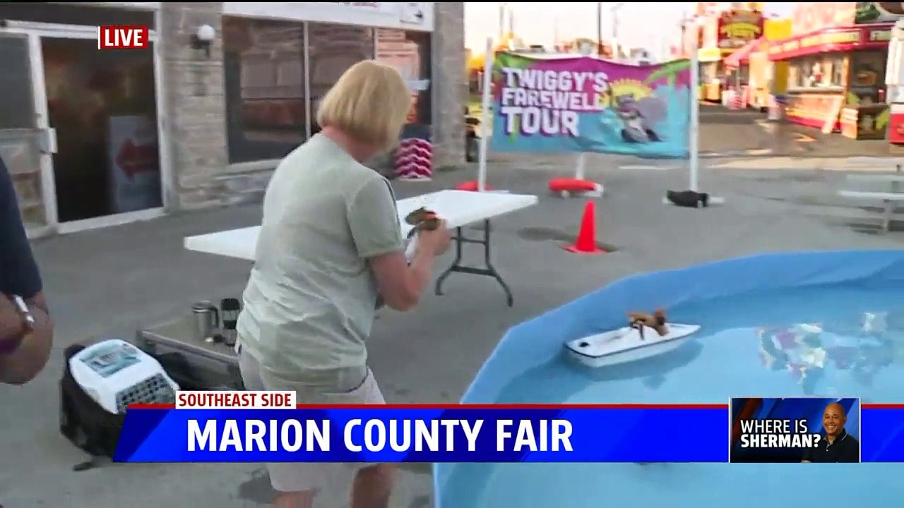Waterskiing Squirrel Spreads Water Safety Message