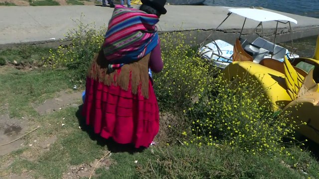 نساء من السكان الأصليين ينظفن ضفاف بحيرة تيتيكاكا بين بوليفيا والبيرو