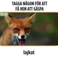 Hehe Gilla Sjukt roligt - roliga bilder och filmer från nätet för fler klipp