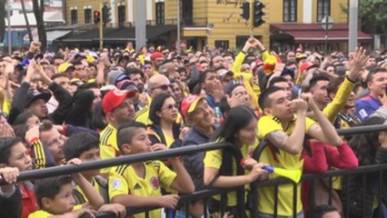 Japón enfría a una Colombia unida por el Mundial tras la división electoral