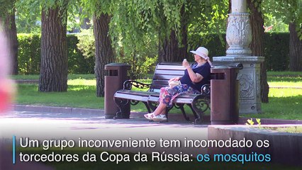 Mosquitos contra a Copa