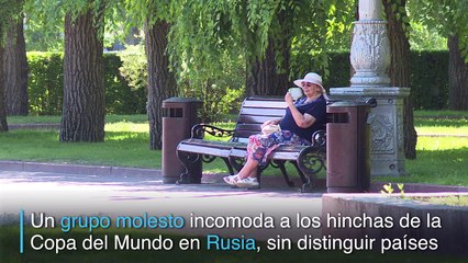 Una amenaza molesta para hinchas en Rusia: mosquitos
