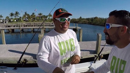 Rib Fishing for Snappers but caught a Giant Shark Instead!