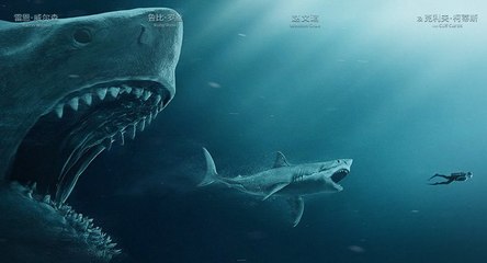 The Meg Movie - Jason Statham vs Giant Shark