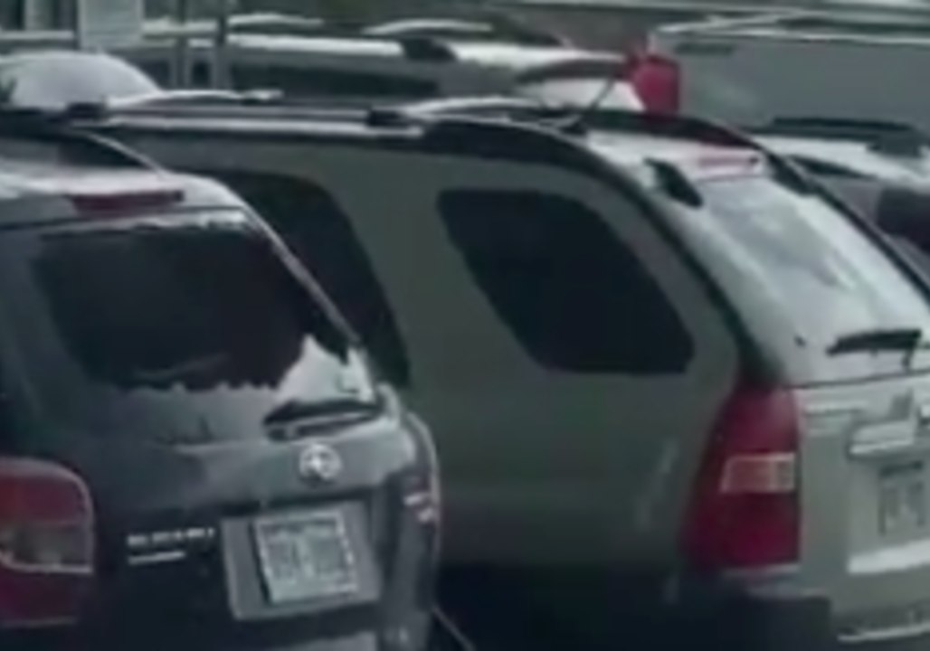 Hail Damages Vehicles in Aurora, Colorado
