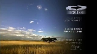 Bears of the Last Frontier (Part 2): The Road North (PBS Nature Documentary) part 2/2