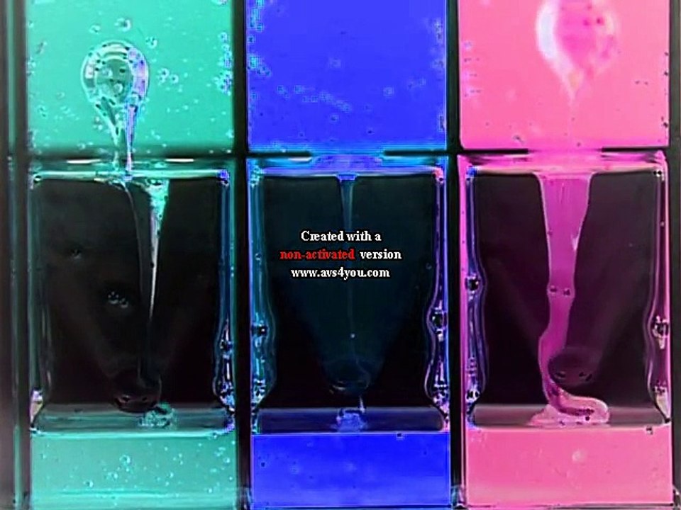 Baby Einstein - Baby Mozart - Music Festival in G Major 1