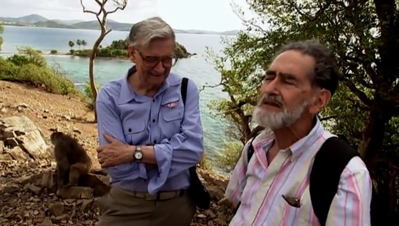 Lord of the Ants (Nova Documentary)