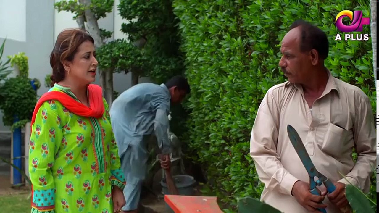 Ishq Ya Rabba - Episode 1 - Aplus Dramas - Bila...