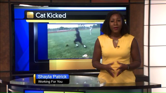 Disturbing Snapchat Video Shows Man Kicking Cat at High School