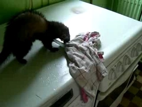 a la peche aux moules