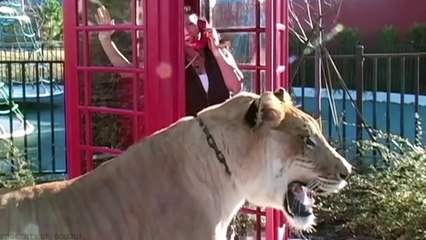 Animales Más Grandes Que Han Existido