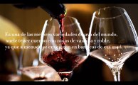Conoce los mejores vinos tintos según José Elarba