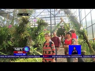 Wisata Anggrek, Hunian Bagi 20 Ribu Anggrek -NET12