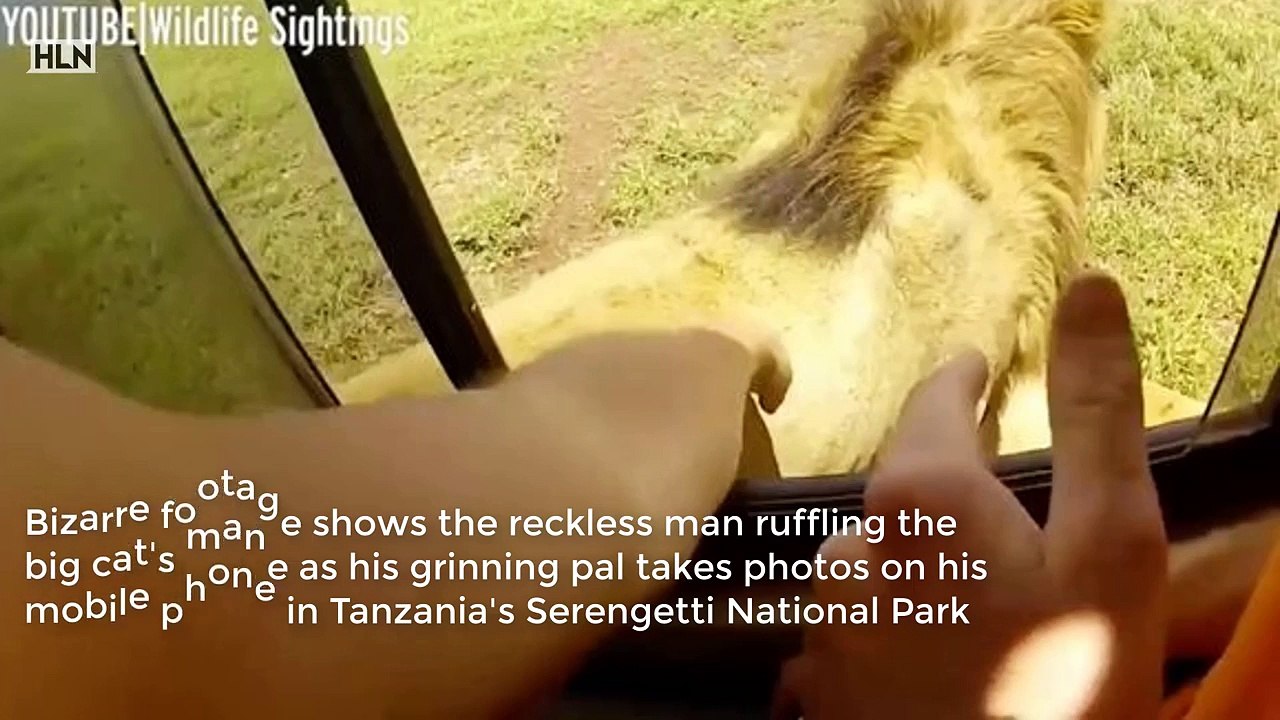 Dumbest tourist ever