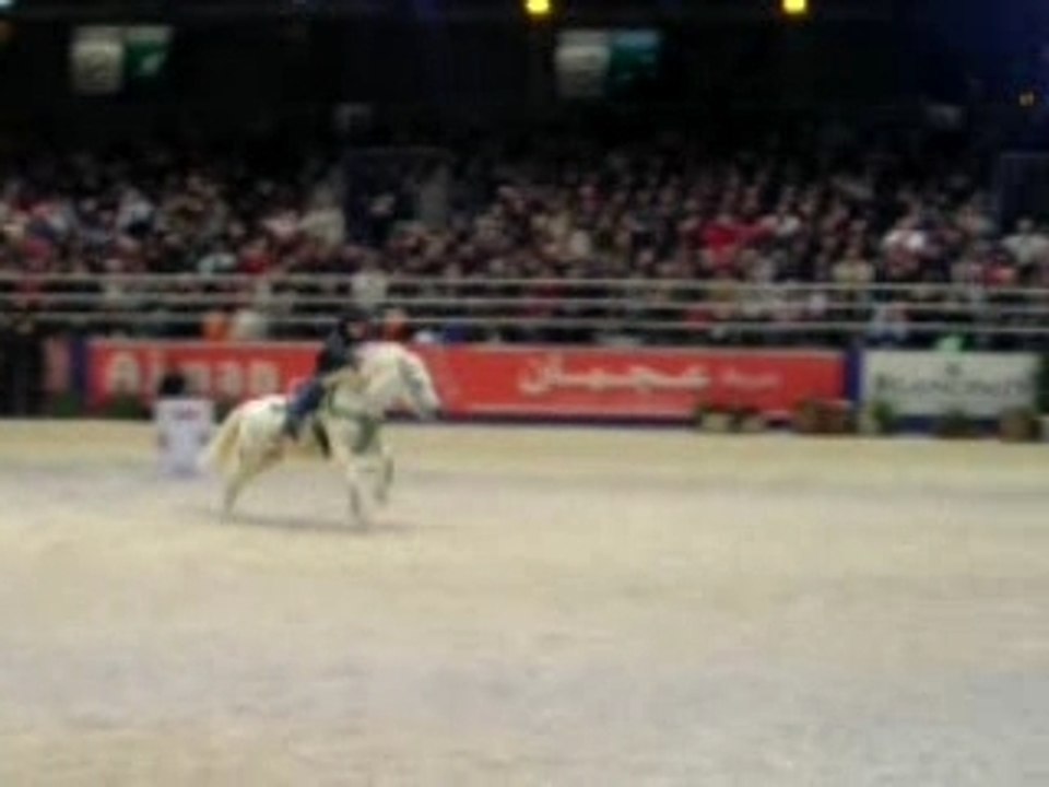 Barrel Racing